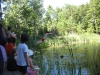 belly_flop_contest2